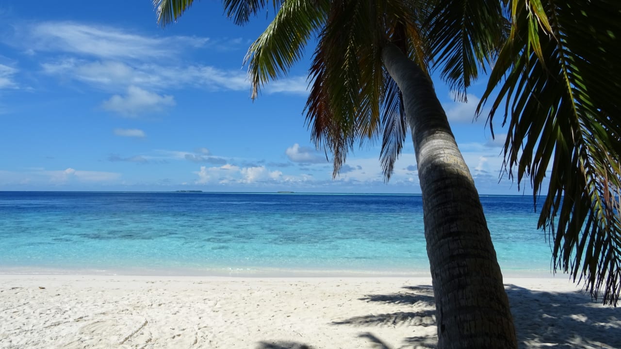 Strand Filitheyo Island Resort