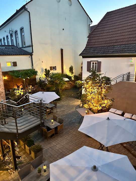 Gartenanlage Hofgarten Rosa