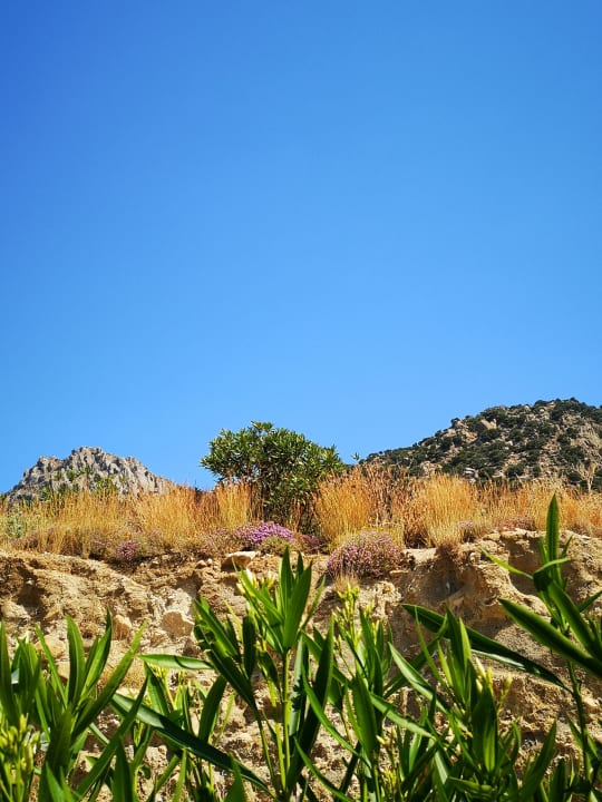 Gartenanlage Canvas by Mitsis Family Village