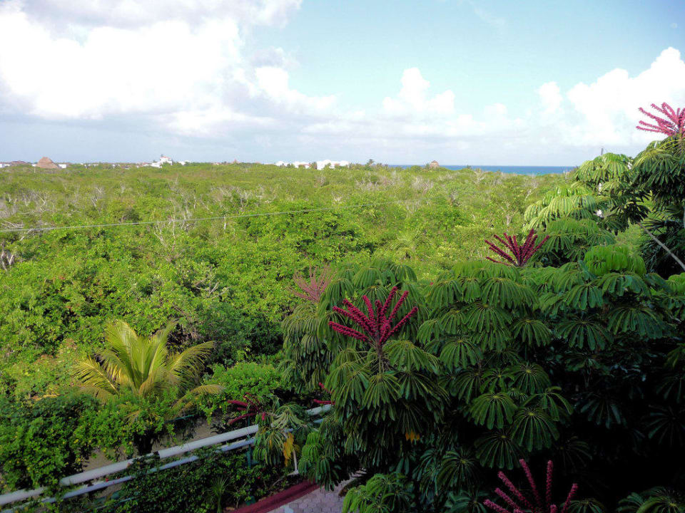 Tropischer Wald und karibisches Meer Catalonia Royal Tulum Beach & Spa Resort - Adults only