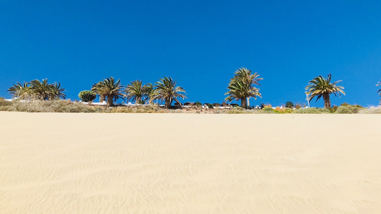 Strand Marina Playa Suite Hotel