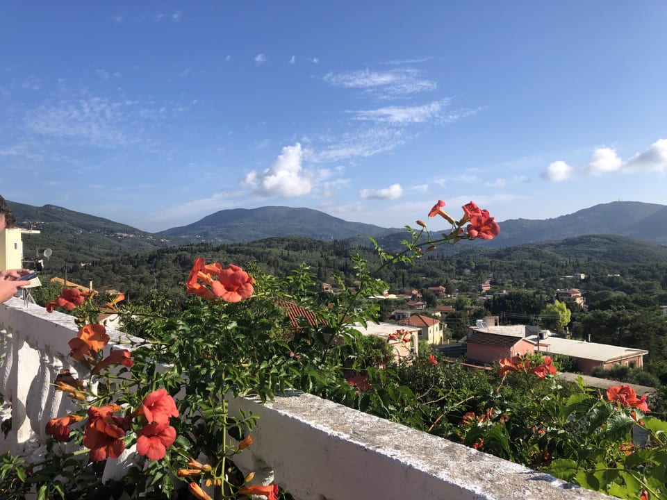 Ausblick Hotel Albatros