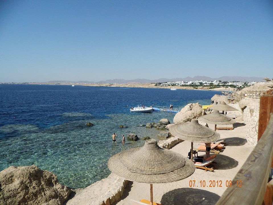 Schnorcheln in jede Richtung möglich Sharm Resort