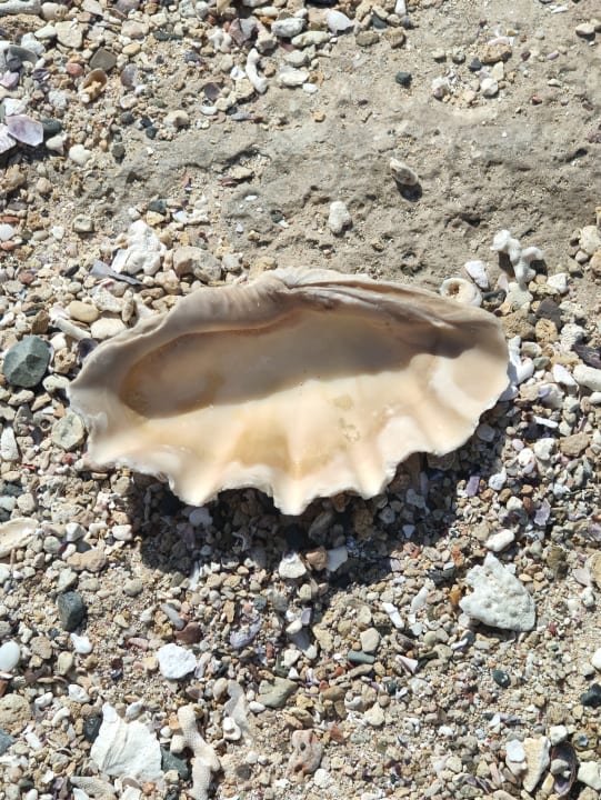 Strand Pickalbatros Villaggio Resort - Portofino