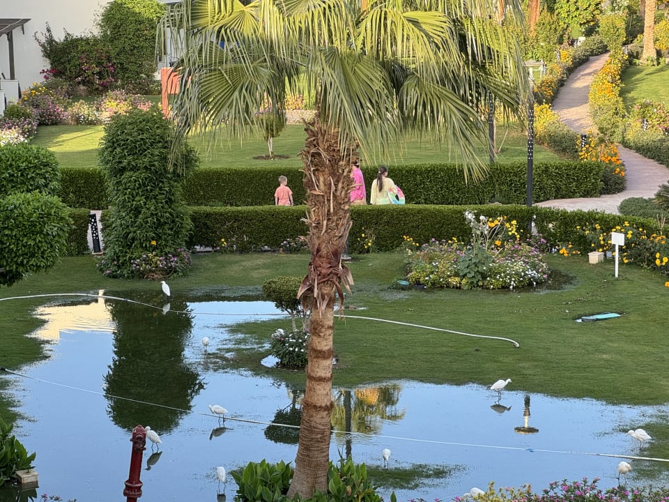 Gartenanlage Amarina Abu Soma Resort & Aquapark