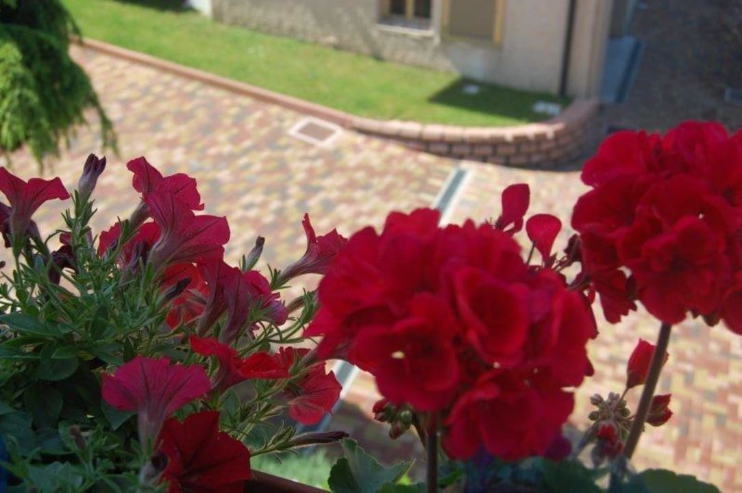 Balcone - balcon Hotel Irene