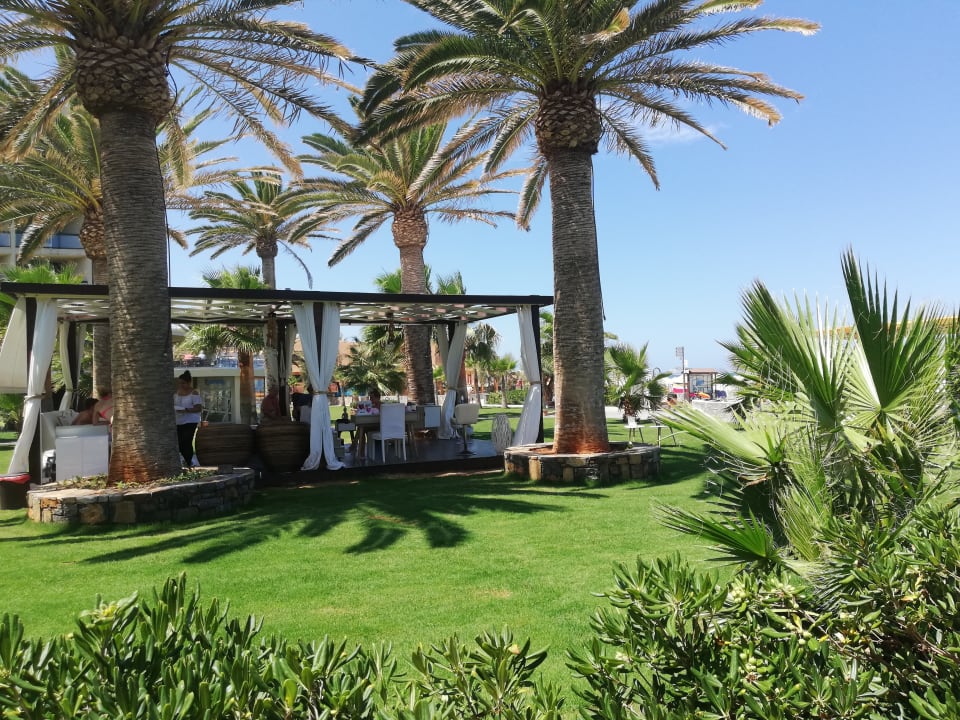 Garten Calimera Sirens Beach