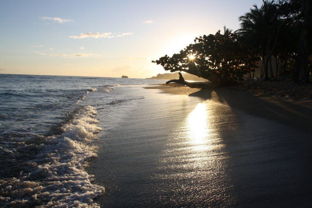 Strand Senator Puerto Plata Hotel