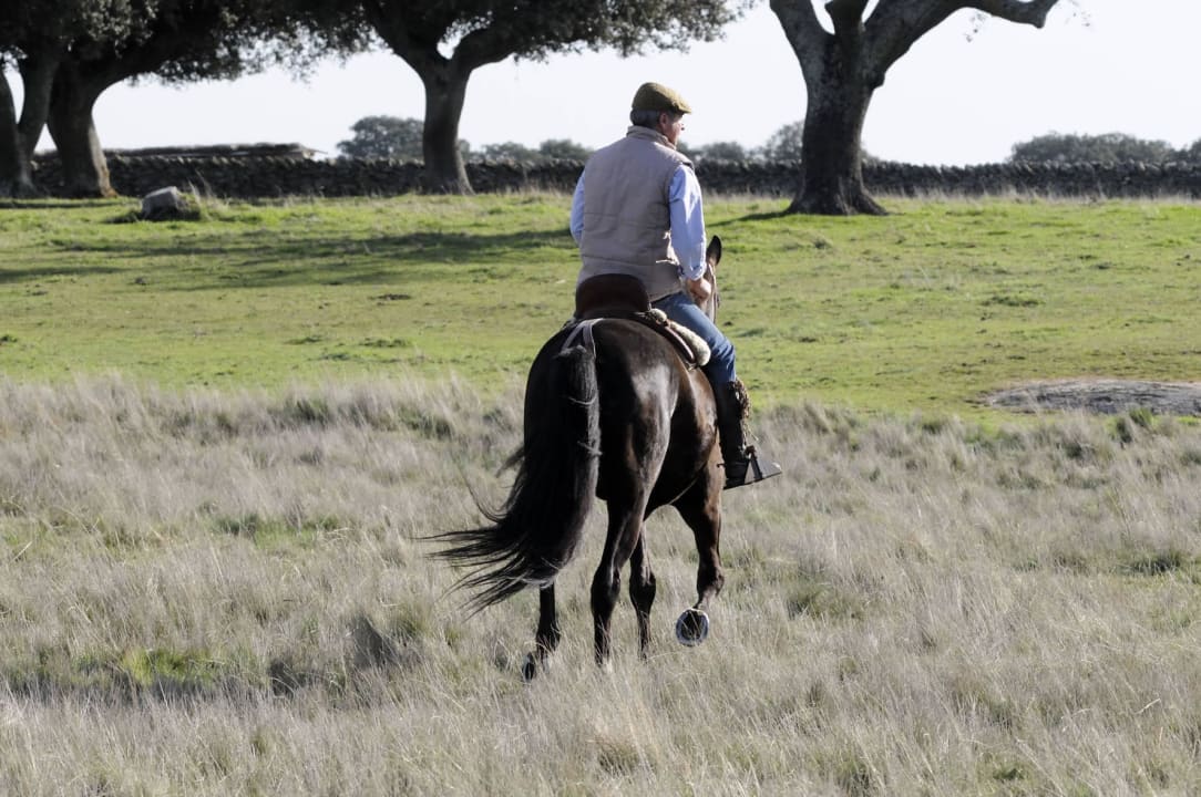 Reitspaß Complejo Rural Faenas Camperas