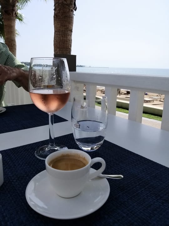 Gastro Acanthus Cennet Barut Collection