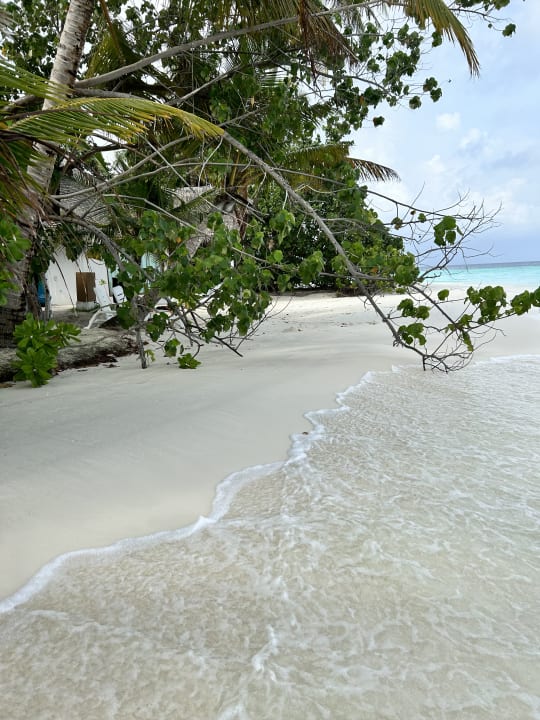 Strand Safari Island Maldives
