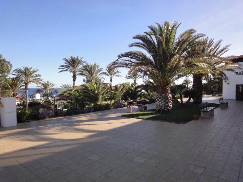 Garten TUI MAGIC LIFE Fuerteventura