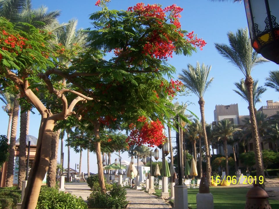 Außenansicht Makadi Palace