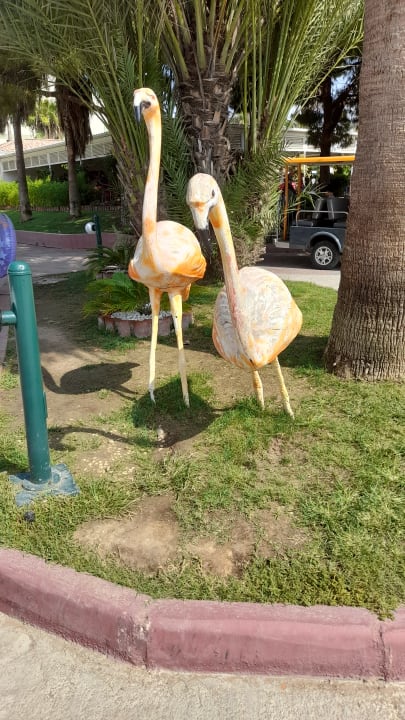 Sonstiges VONRESORT Golden Beach