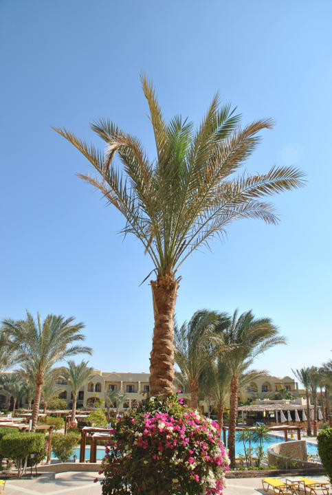 Zimmerausblick Hotel JAZ Makadi Star & Spa