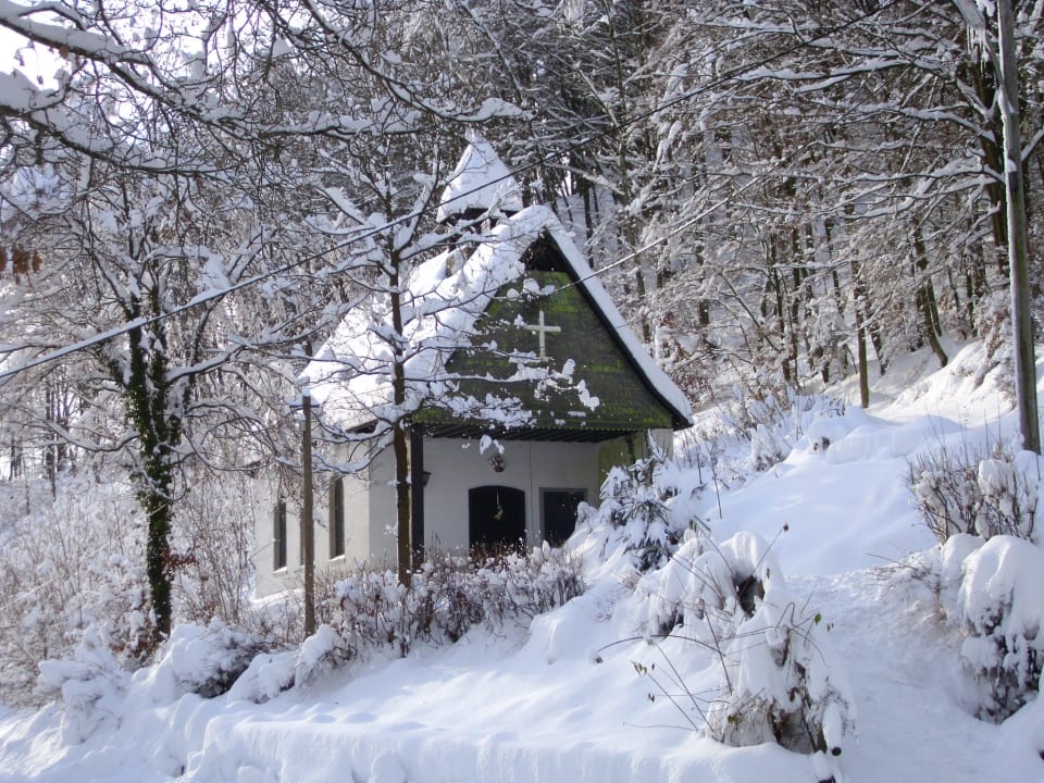 Ausblick Gasthof Braun Schmallenberg Ohlenbach
