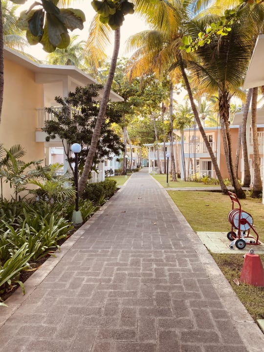 Außenansicht Playabachata Hotel