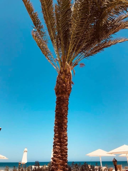 Strand Menaville Safaga