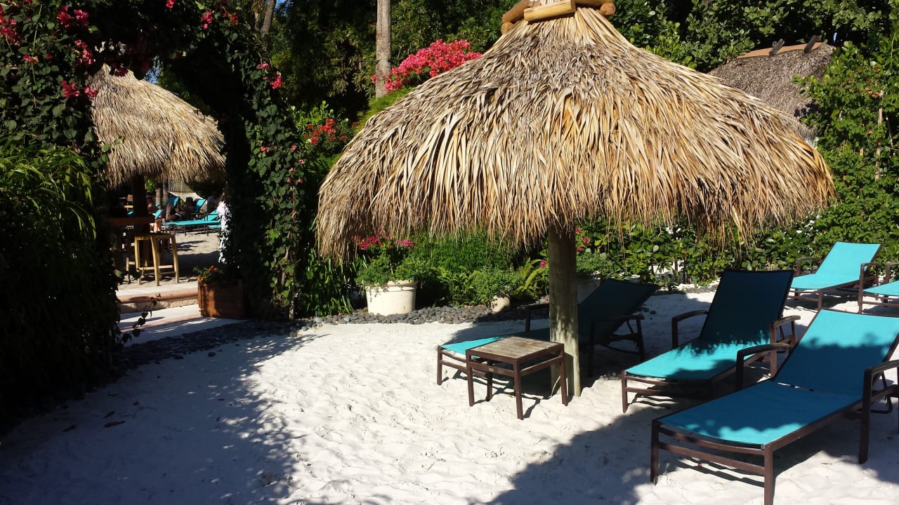 Pool The Palms Hotel & Spa