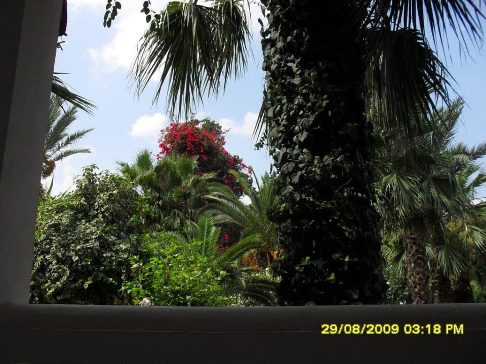 Ausblick von unserem Zimmer aus Movie Gate Miramar