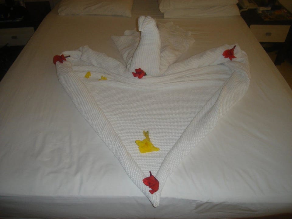 Zimmerempfang Hotel Orfeus Park