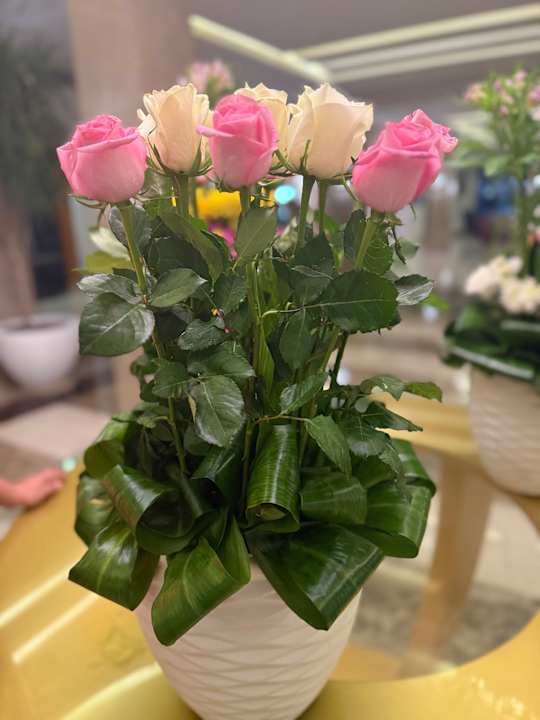 Lobby Pickalbatros Aqua Park Resort - Sharm El Sheikh