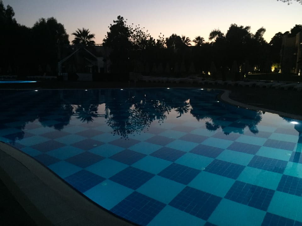 Pool Asteria Venus Didim