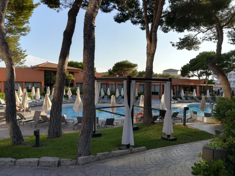Pool Protur Turo Pins Hotel