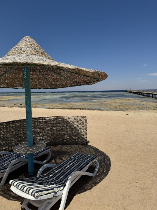 Strand TUI MAGIC LIFE Redsina Sharm El Sheikh