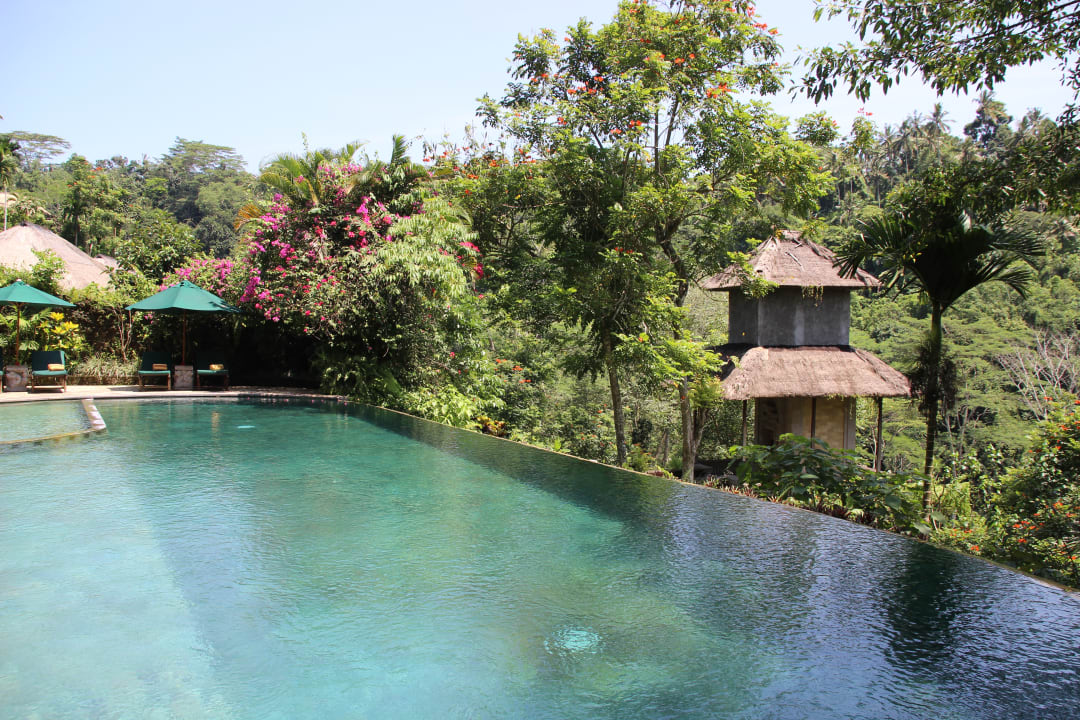 Pool Hotel The Royal Pita Maha