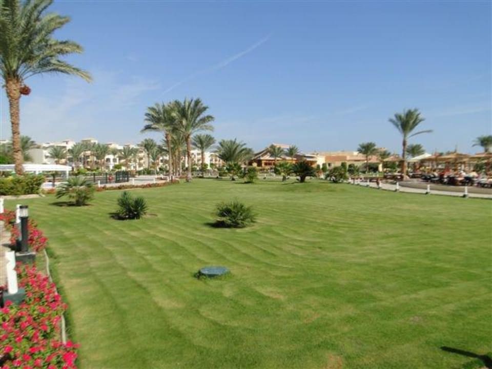 Herrliche Anlage Pickalbatros Dana Beach Resort - Hurghada