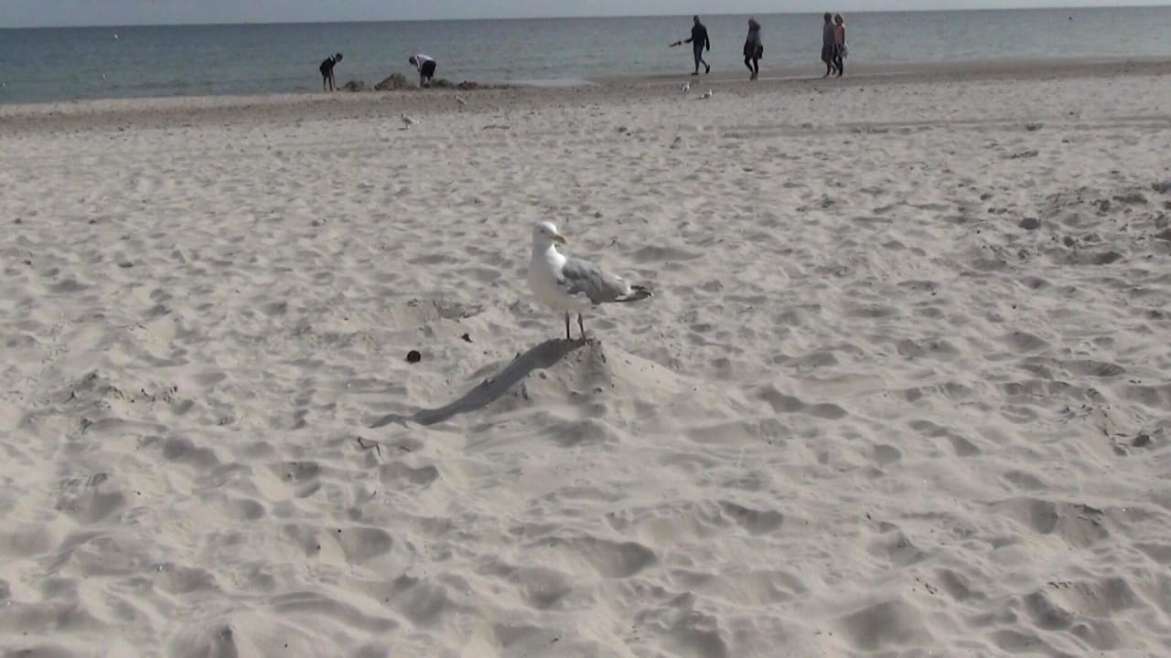 Strand IFA Rügen Hotel & Ferienpark