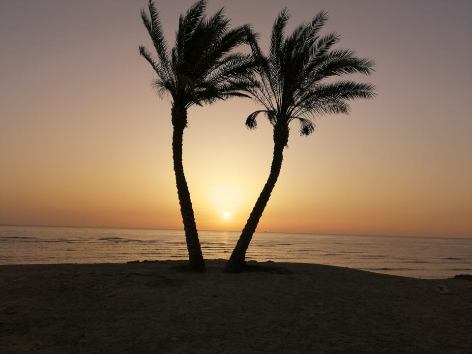 Ausblick Malikia Resort Abu Dabbab