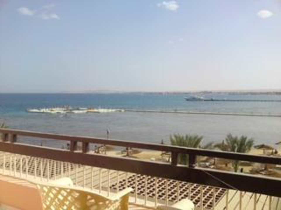 Blick von meiner Terrasse Beach Albatros Resort