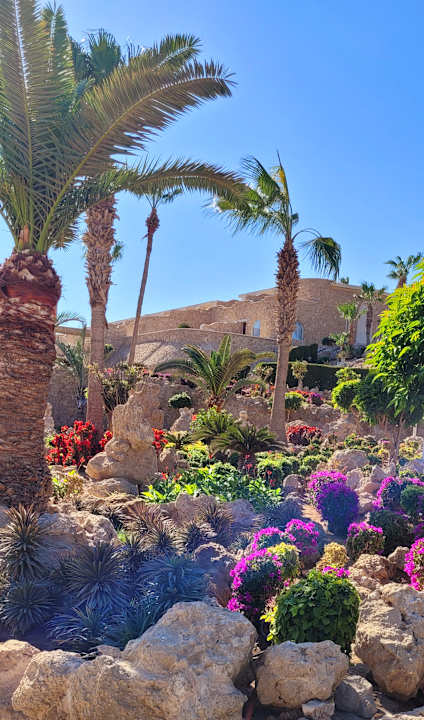 Außenansicht Pickalbatros Citadel Resort