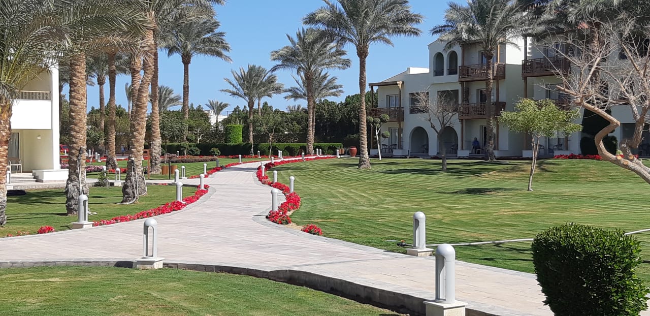 Gartenanlage Pickalbatros Dana Beach Resort - Hurghada