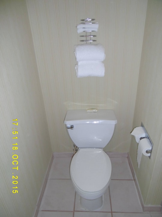 Bad Hotel Circus Circus