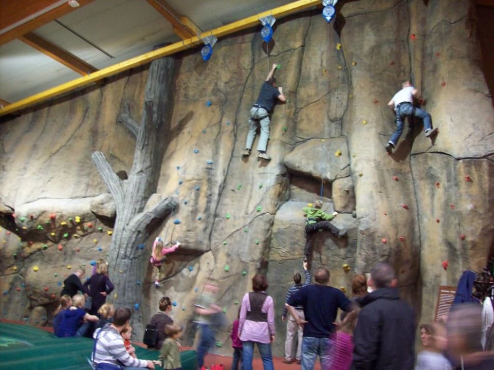 Im Dschungelland Ferienwohnungen Ferienpark Weissenhäuser Strand
