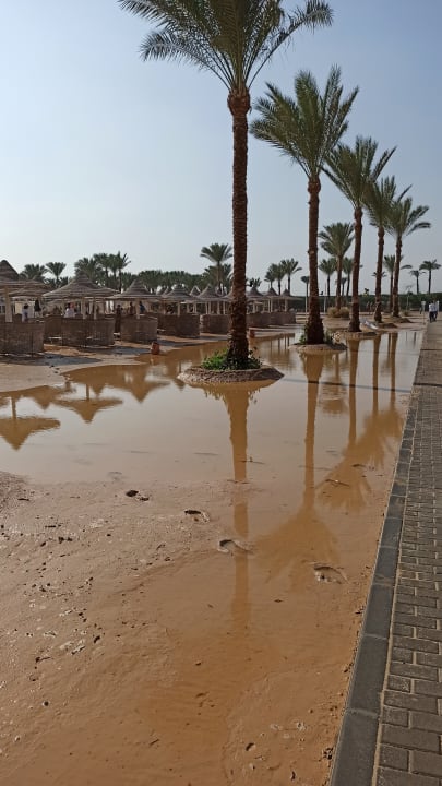 Strand Steigenberger Coraya Beach - Adults only