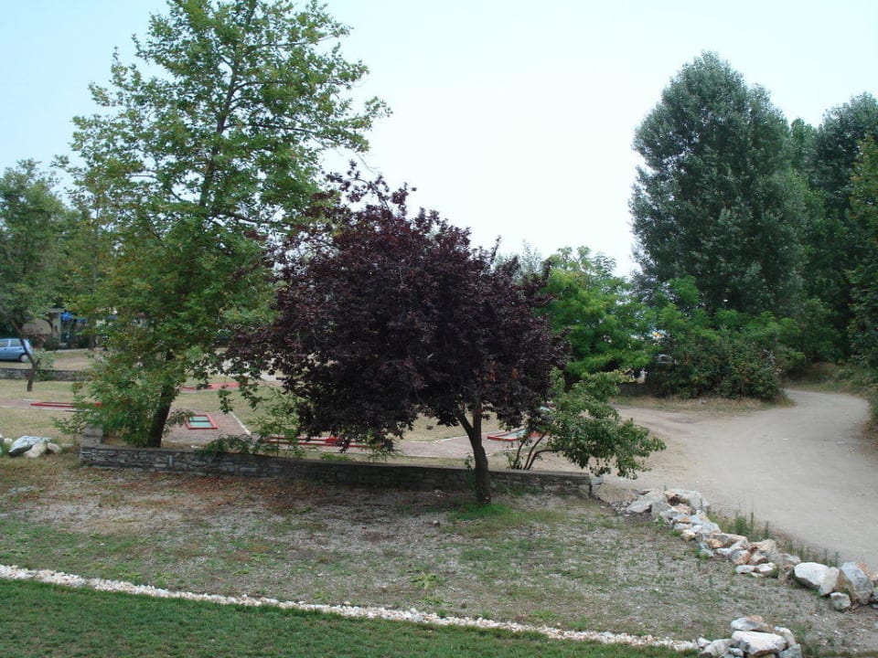 Bungalow-Zimmer OG Meerblick Olympian Bay Grand Resort