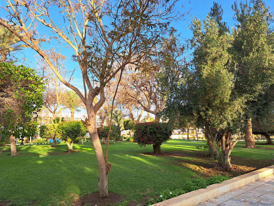 Gartenanlage The Grand Palace - Adults only