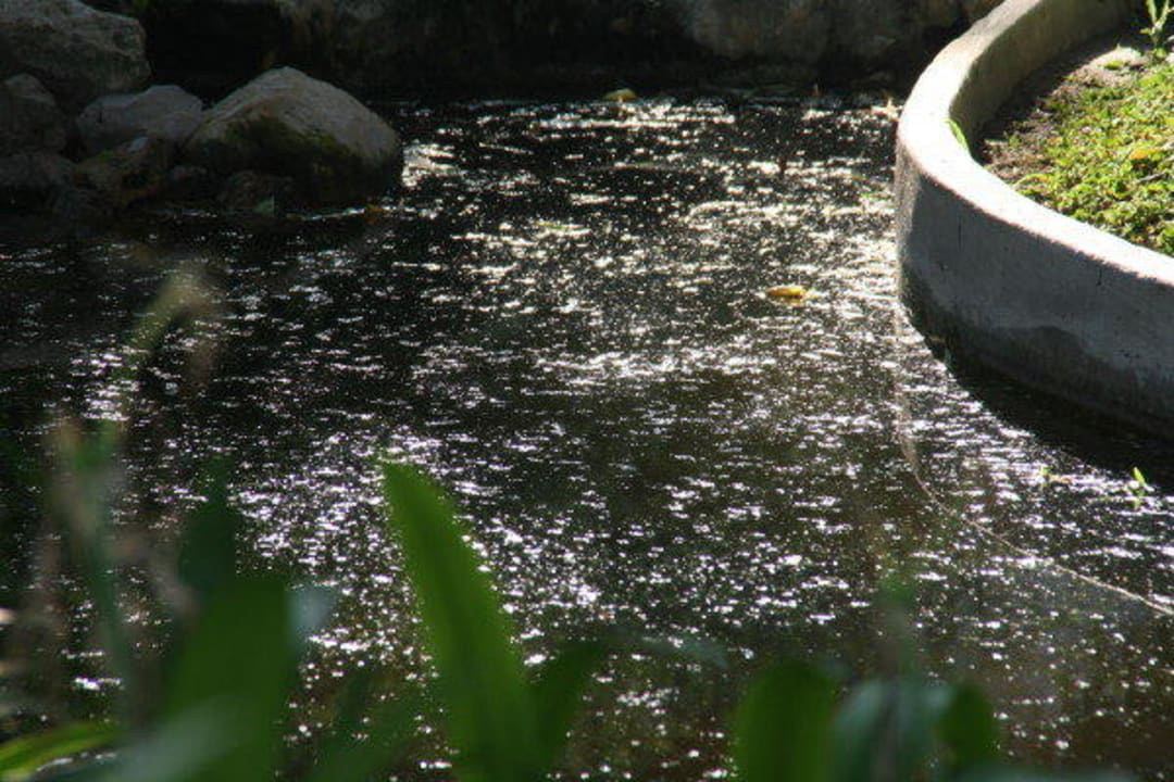 Pumpe defekt - die Schnaken freut es Wora Bura Hua Hin Resort & Spa
