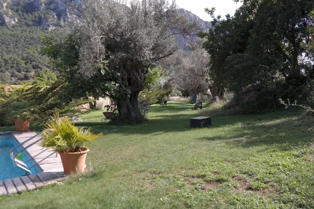 Liegewiese am Pool Finca Honor Vell