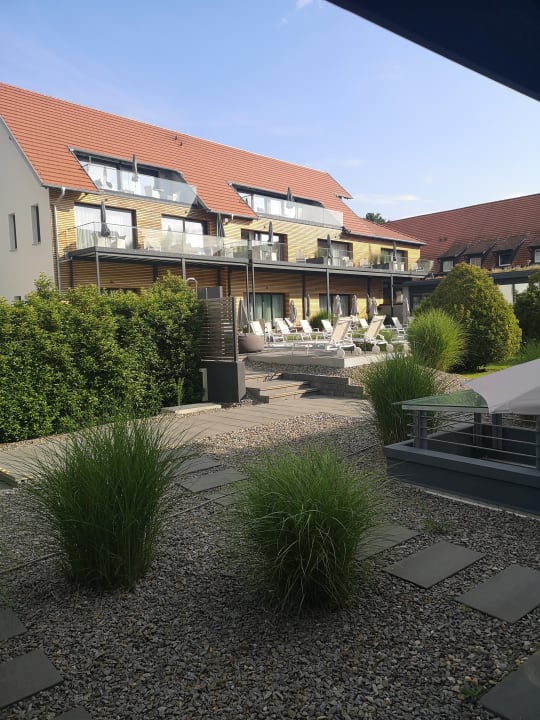 Ausblick Schloss Reinach