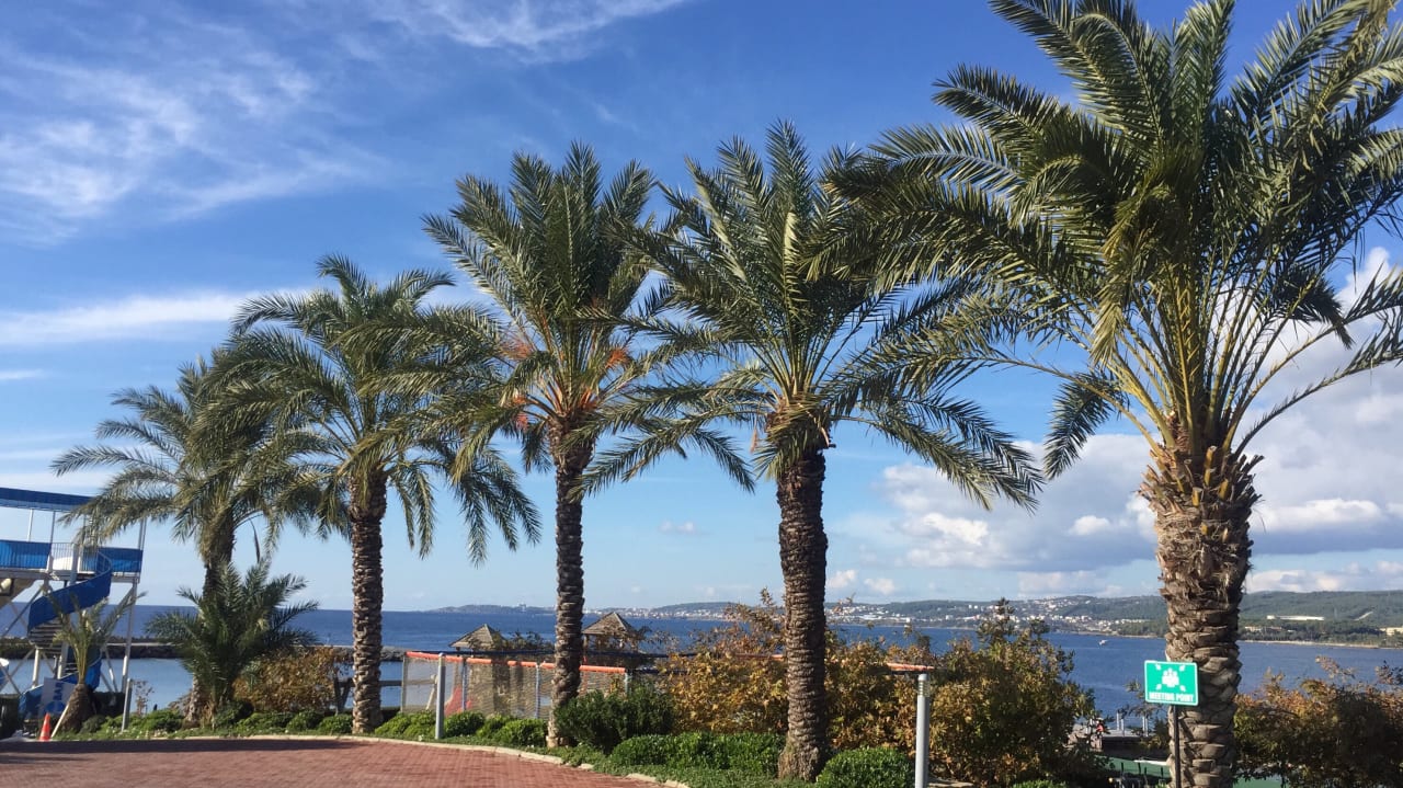 Gartenanlage Gold Island Selected