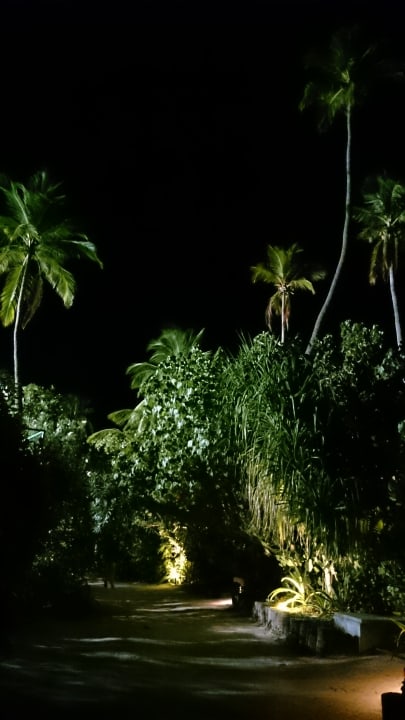 Hauptwege zu den Villen - abends NH Collection Maldives Havodda Resort