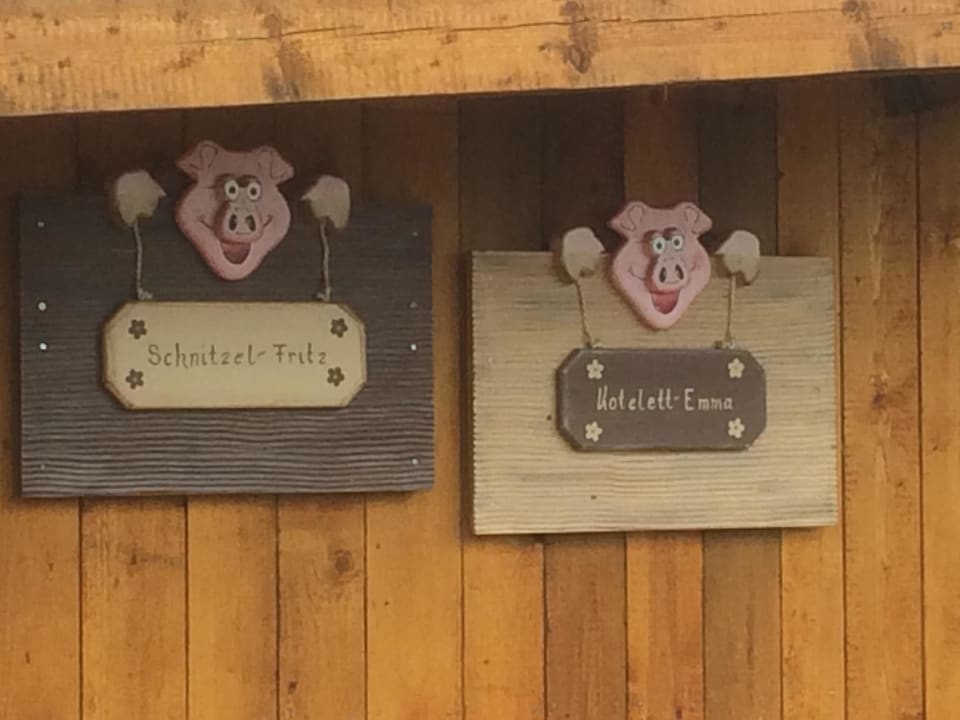 Schwein Ferienhof Kosertal
