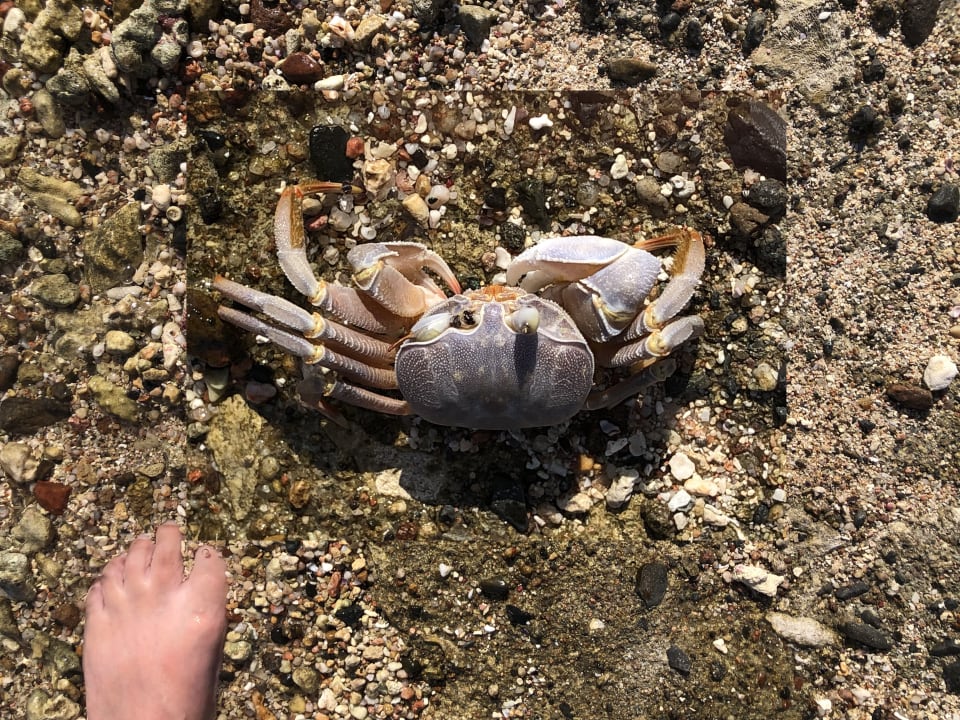 Sonstiges Steigenberger Coraya Beach - Adults only