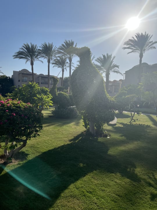Gartenanlage Jaz Makadi Oasis Resort