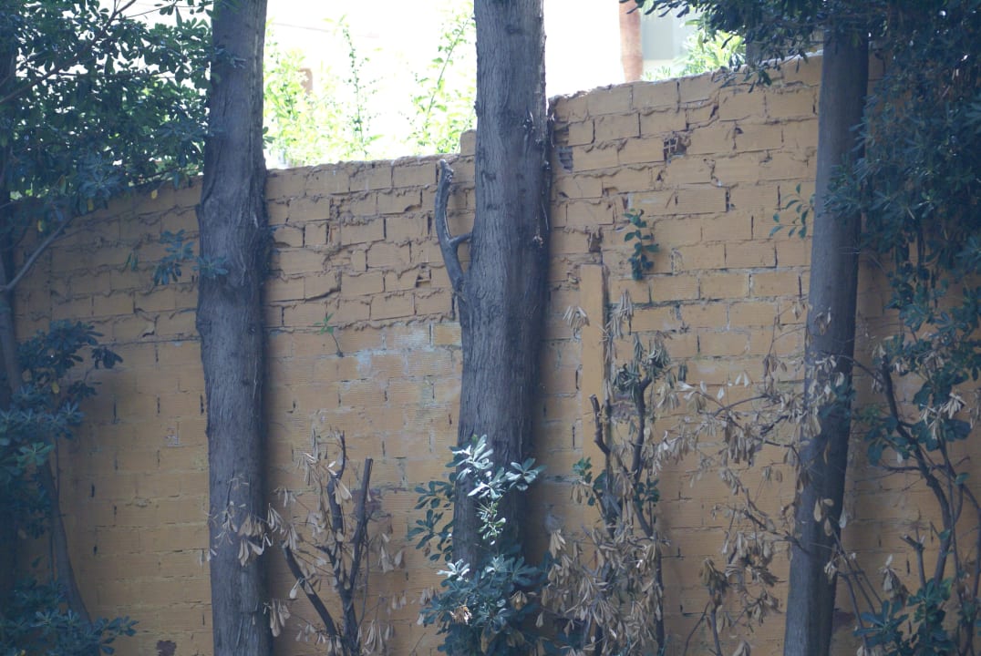 Ogród BLUESEA Al Andalus